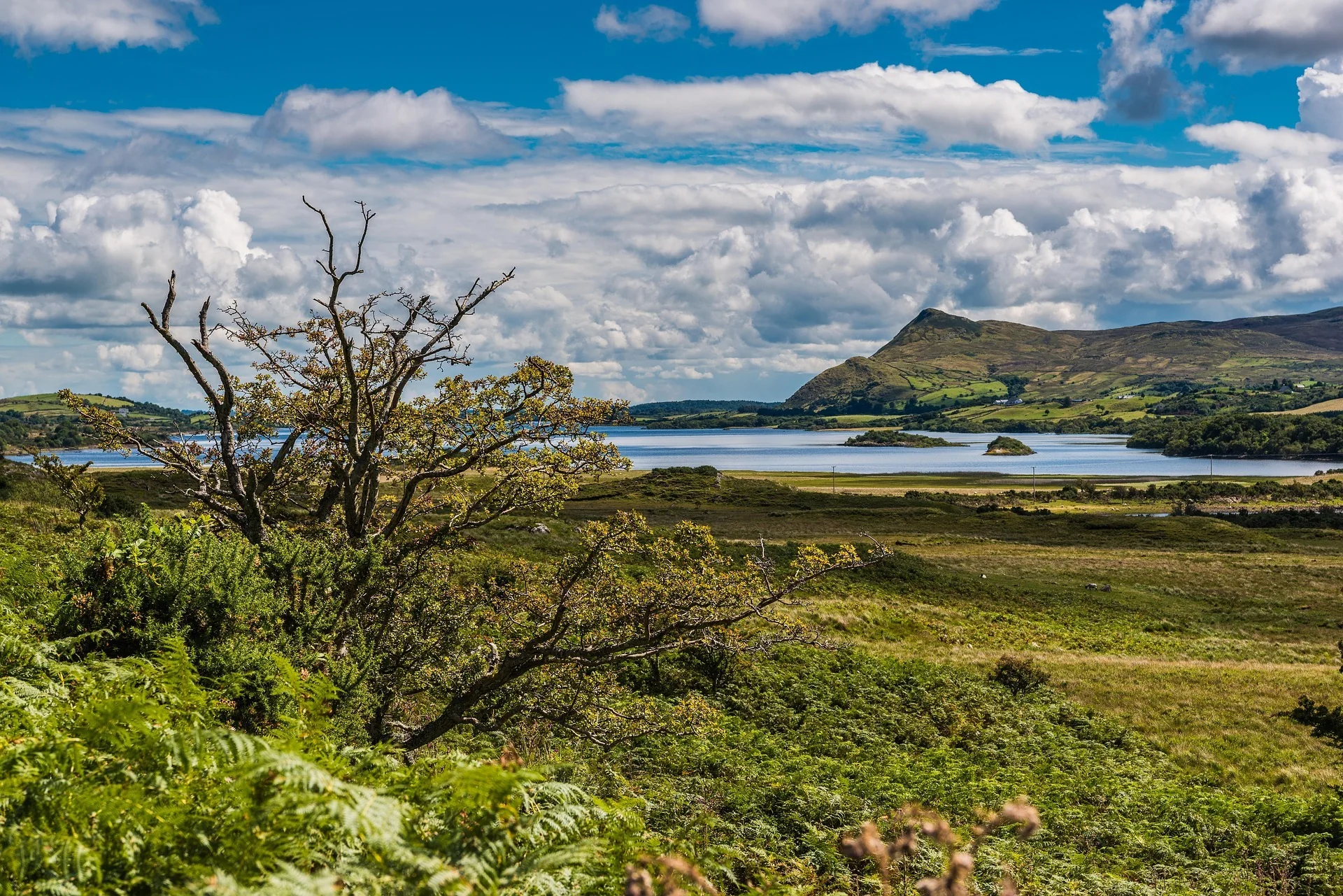 Kerry landscape with lake, trees and mountains